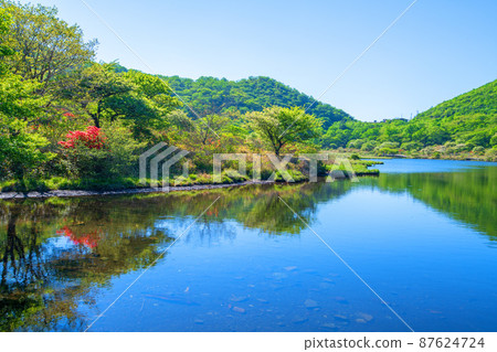 Akagi Park Kakumanbuchi Water Mirror View from the boardwalk Wooden path Early summer scenery Akagi Park Kakumanbuchi Water Mirror View from the boardwalk Wooden path Early summer scenery 87624724