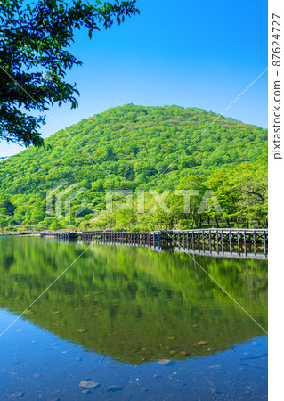 Akagi Park Kakumanbuchi Water Mirror Boardwalk Wooden Road Early Summer Scenery Akagi Park Kakumanbuchi Water Mirror Boardwalk Wooden Road Early Summer Scenery 87624727