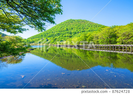 Akagi Park Kakumanbuchi Water Mirror Boardwalk Wooden Road Early Summer Scenery Akagi Park Kakumanbuchi Water Mirror Boardwalk Wooden Road Early Summer Scenery 87624728