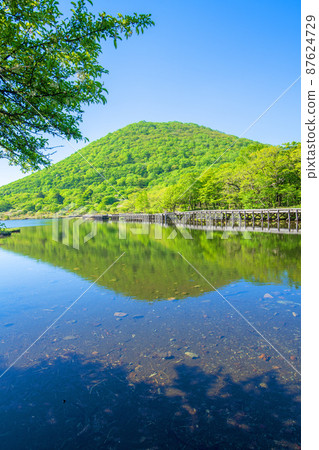 Akagi Park Kakumanbuchi Water Mirror Boardwalk Wooden Road Early Summer Scenery Akagi Park Kakumanbuchi Water Mirror Boardwalk Wooden Road Early Summer Scenery 87624729