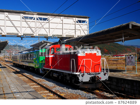 Kazekko running fast in Shinshu Kazekko running fast in Shinshu 87624889