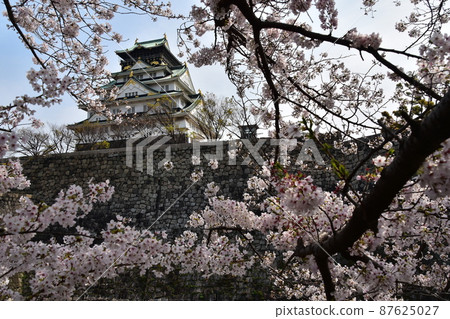 Osaka Prefecture, Japan Spring Osaka Castle Park Full bloom cherry blossoms, blue sky and magnificent castle tower 87625027