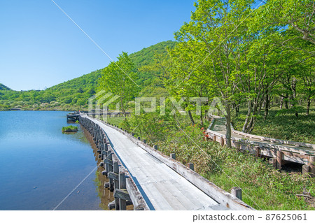 赤城公園 角滿淵木板路 初夏風景 87625061