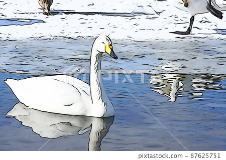 Pastel-like "whooper swan" wild bird "" illustration image Pastel-like "whooper swan" wild bird "" illustration image 87625751