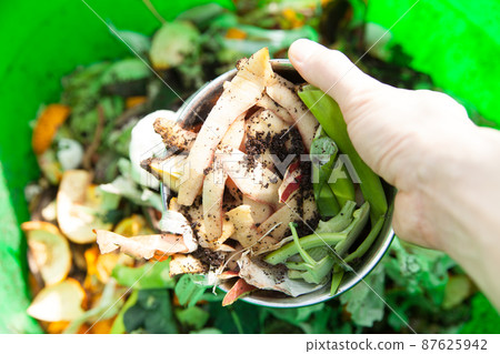 將蔬菜皮丟棄在堆肥機中 87625942