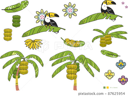 熱帶水果系列香蕉巨嘴鳥套裝插圖素材 87625954