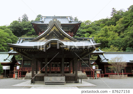 正殿前的少女[靜岡淺間神社/駿河國際社]/靜岡縣靜岡市 87627158