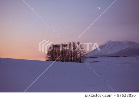 Larch hill and crescent moon 87628850