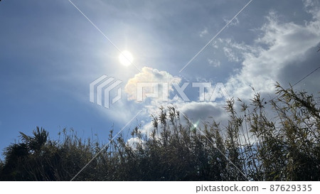 笑臉動物雲 87629335