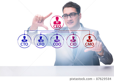 Businessman in the organisation chart concept 87629584