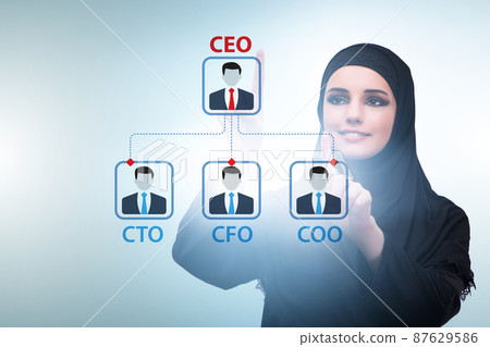 Businesswoman in the organisation chart concept 87629586
