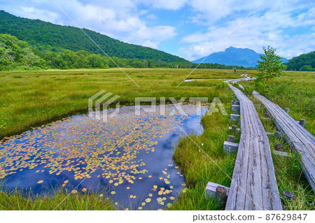 View toward Hiuchigatake from the vicinity of Oze Uedayo in summer View toward Hiuchigatake from the vicinity of Oze Uedayo in summer 87629847