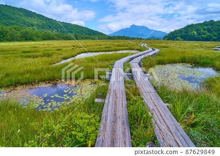 View of Mt. Shibutsu from the vicinity of Oze Uedayo in summer 87629849