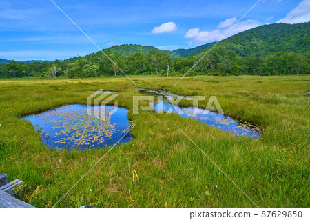 View of Mt. Hakkai on the north side from the vicinity of Oze Uedayo in summer 87629850