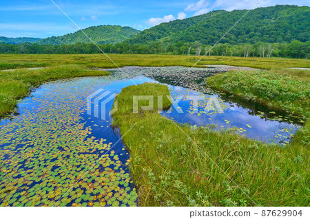 夏季從尾瀨上代附近眺望北海八海山 87629904