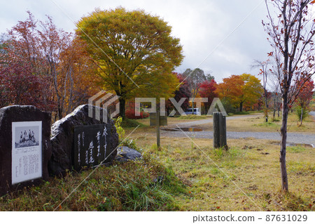 千町原、北廣島町和牧野富三郎紀念碑的秋葉風光 87631029
