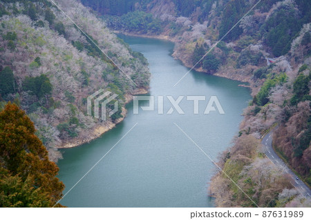 月瀨/名張川大壩湖等待春天 87631989