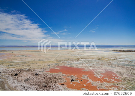 Laguna Chaxa Park 87632609