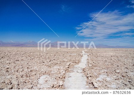 Laguna Chaxa Park 87632636