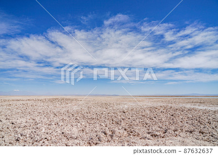 Laguna Chaxa Park Laguna Chaxa Park 87632637