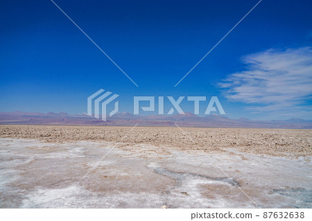 Laguna Chaxa Park Laguna Chaxa Park 87632638