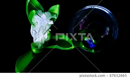 Hyacinth Hyacinth 87632665