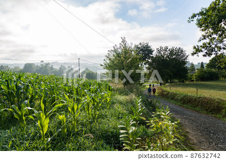 Camino pilgrimage road Camino pilgrimage road 87632742