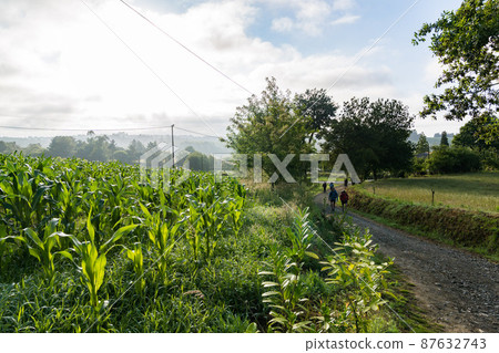 卡米諾朝聖之路 87632743