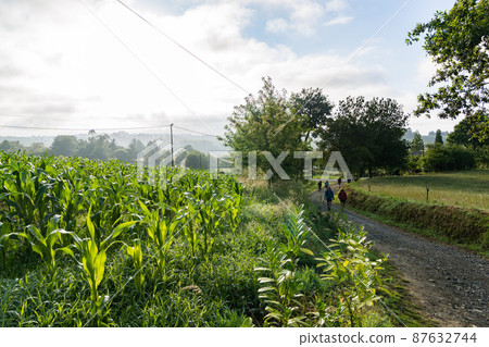 卡米諾朝聖之路 87632744