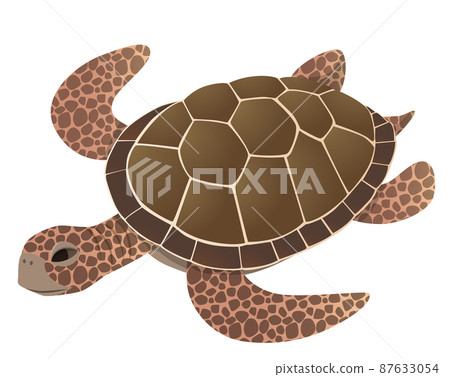 Vector illustration of swimming sea turtles 87633054