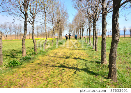 福島縣綠樹成蔭的道路 87633991