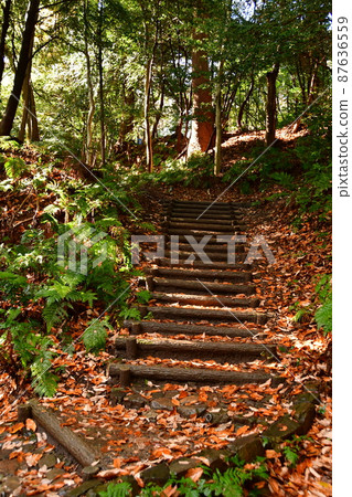 Komakiyama Castle 41 87636559