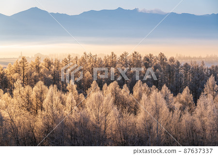 Winter scenery of Biei, Hokkaido 87637337