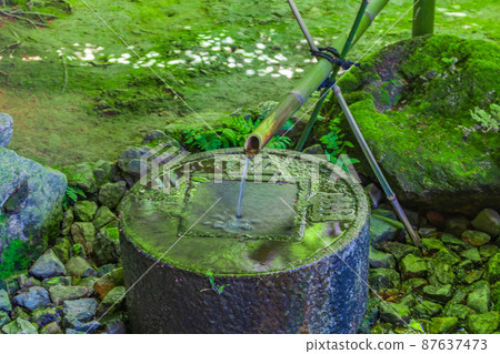 【京都歷史風景】龍安寺築貝 【京都歷史風景】龍安寺築貝 87637473