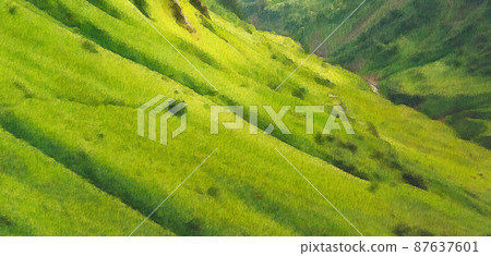 abstract green watercolor texture background 87637601