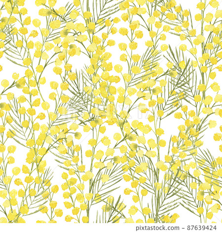 Watercolor hand drawn seamless pattern with spring tender flowers - yellow mimosa on the white background. For textile, wallpaper, wrapping paper, march, easter, card, linen. 87639424