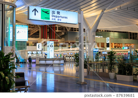 Narita Airport departure lobby 87639681