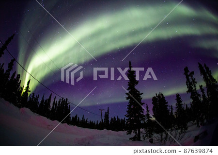 Aurora in Fairbanks, Alaska Aurora in Fairbanks, Alaska 87639874