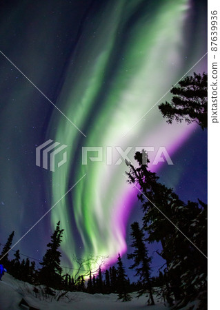Aurora in Fairbanks, Alaska Aurora in Fairbanks, Alaska 87639936
