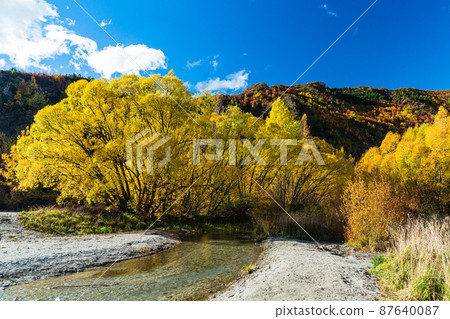 新西蘭奧塔哥箭鎮的秋葉和箭河 87640087