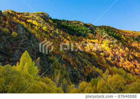 新西蘭奧塔哥箭鎮秋山的秋葉 新西蘭奧塔哥箭鎮秋山的秋葉 87640088