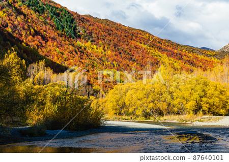 新西蘭奧塔哥箭鎮的秋葉和箭河 新西蘭奧塔哥箭鎮的秋葉和箭河 87640101