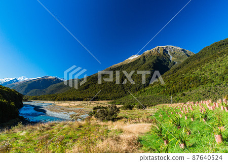 從步行道到新西蘭奧塔哥地區的藍池和馬卡羅阿河的風景 87640524