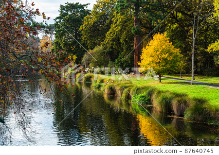Avon River and Autumn Leaves in Christchurch Botanic Gardens, New Zealand Avon River and Autumn Leaves in Christchurch Botanic Gardens, New Zealand 87640745