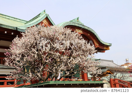 龜戶天神梅花節梅，龜戶，江東區，東京 87641123