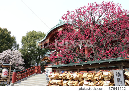 Kameido Tenjin Plum Festival Ume, Kameido, Koto-ku, Tokyo 87641222