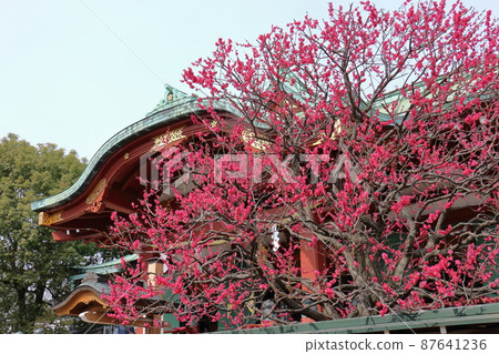 Kameido Tenjin Plum Festival Ume, Kameido, Koto-ku, Tokyo 87641236