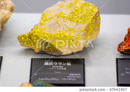 鈣 87641907