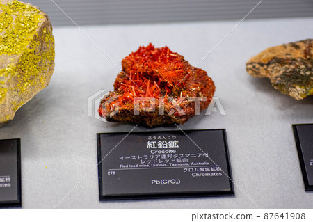 Crocoite 87641908