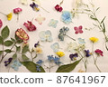 安排乾花 1 87641967